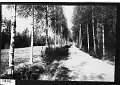 foto1850i