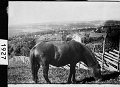 foto1927