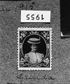 foto1955